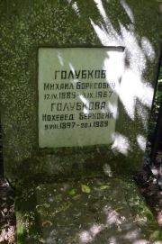 Голубкова Иохевед Берковна, Москва, Востряковское кладбище